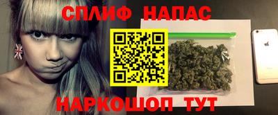 гидропоника Гатчина